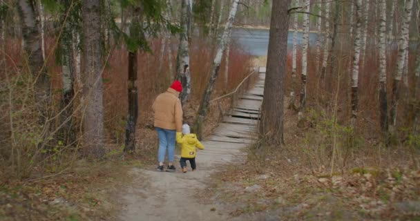 Kleines Kleinkind läuft bei Sonnenuntergang Hand in Hand mit seiner Mutter in einem Park. Die Mutter geht mit einem Jungen auf einer hölzernen Straßenbrücke zum Flusssee im Wald. Zweijähriger Junge geht mit Mutter im Wald spazieren — Stockvideo