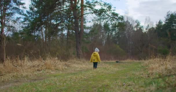 En 2-3 år gammel gutt klatrer opp en skogssti i gul jakke og studerer verden rundt seg og naturen. Ønsket om frihet og ny kunnskap. Barnslig eventyr av en ung Explorer – stockvideo