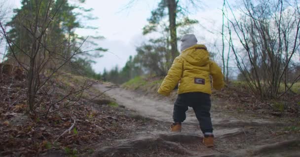 スローモーション:森の中を歩く少年に続く。晴れた日には若い男の子が山の森を歩いている。ハイカーだ。黄色のジャケットを着た2 〜 3歳の小さな男の子が自然と森を探索します — ストック動画