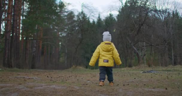 2-3-letni chłopiec wspina się na leśną ścieżkę w żółtej kurtce, badając otaczający go świat i przyrodę. Pragnienie wolności i nowej wiedzy. Dzieci przygoda z młodym Explorer — Wideo stockowe