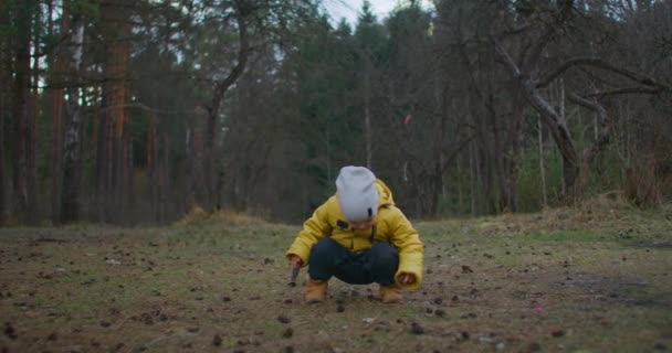 En 2-3-årig pojke i gul jacka sitter och studerar världen och naturen och tittar på kottar i skogen. Önskan om frihet och ny kunskap. Ett barnäventyr av en ung Explorer. — Stockvideo