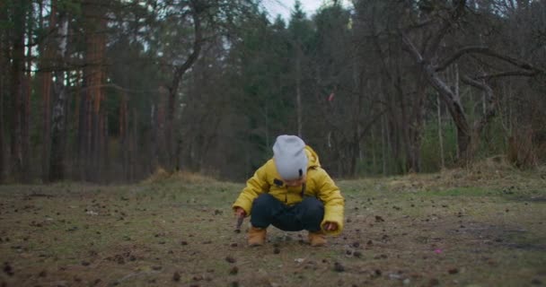 Un niño de 2-3 años con una chaqueta amarilla se sienta a estudiar el mundo y la naturaleza, mirando los conos en el bosque. El deseo de libertad y nuevo conocimiento. Una aventura infantil de un joven explorador . — Vídeos de Stock