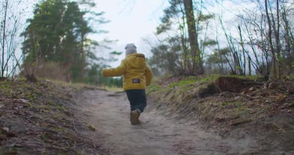 Powolny ruch: za chłopcem chodzącym po lesie. Młody chłopak spaceruje w górzystym lesie w słoneczny dzień. Wędrowiec. Mały chłopiec w wieku 2-3 lat w żółtej kurtce odkrywa przyrodę i las — Wideo stockowe