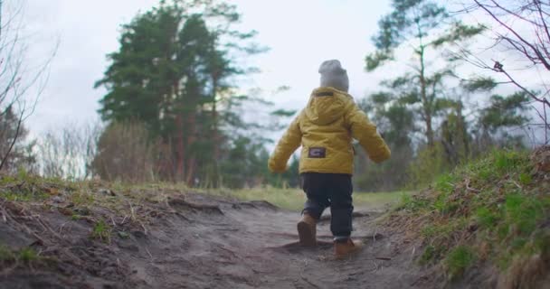 En 2-3-årig pojke klättrar på en skogsstig uppför berget i en gul jacka och studerar världen omkring sig och naturen. Önskan om frihet och ny kunskap. Barnens äventyr av en ung Explorer — Stockvideo