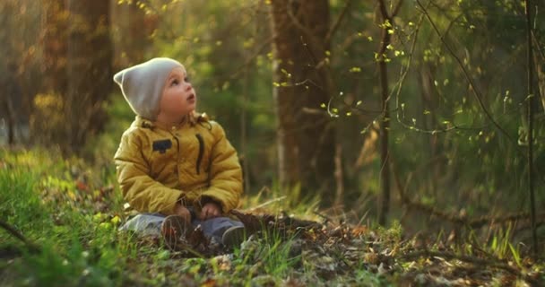 Garçon sur le plein air joue et se réjouit avec des feuilles d'automne. Un garçon de 2-3 ans est assis dans un parc à la lumière du soleil. Enfant jetant feuillage d'automne coloré dans l'air dans le parc .