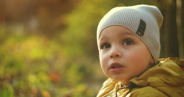 Portrait d'un garçon rêveur souriant assis dans la forêt au soleil. Forêt magique. Regardez et souriez à la caméra. Automne Spring Park. Rayon de lumière du soleil .