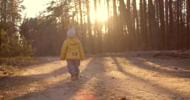Yavaş Çekimde Lens Fişeği: Sonbahar parkında koşan mutlu erkek bebek. Küçük çocuk sonbahar yürüyüşünde oynuyor. Altın yapraklı sonbahar ormanı. Altın yapraklı sonbahar ormanı — Stok video