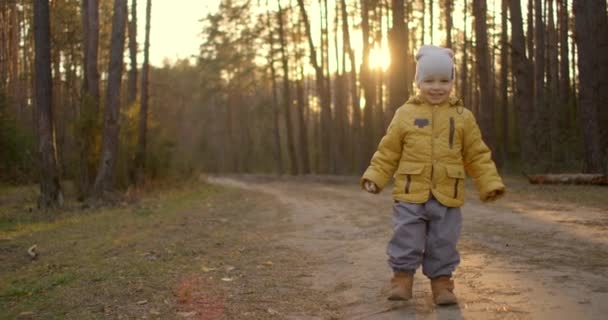 Ralenti : Jeune garçon vêtu d'une veste jaune Explorez le monde qui l'entoure assis dans la forêt au soleil. Profitez et riez dans les bois. Enfance joyeuse gratuite dans le parc dans la nature 