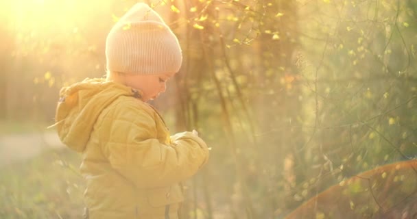 Primer plano ver el video de un niño blanco joven de pie en el hermoso bosque viejo verde mirando hacia arriba en los árboles enormes por encima de la cabeza. Luz del sol y deslumbramiento. Explora y explora el mundo que te rodea . — Vídeos de Stock