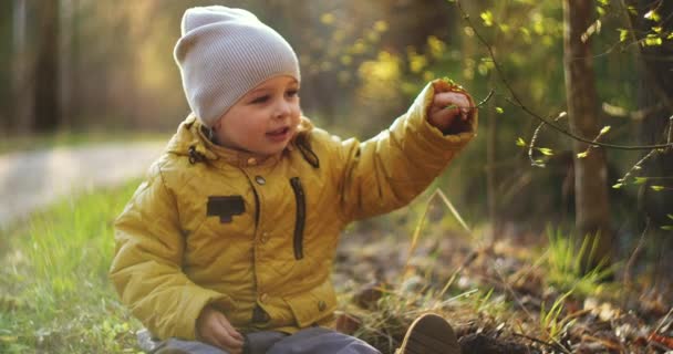 Retrato de un niño sonriente y soñador sentado en el bosque bajo el sol. Bosque mágico. Mira y sonríe a la cámara. Parque de primavera de otoño. Lente de luz solar destello . — Vídeos de Stock