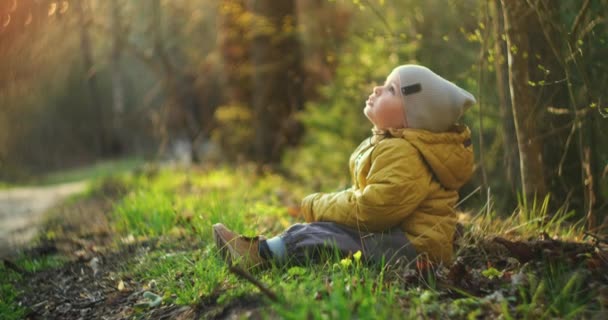 Slow motion: Young Boy in Yellow Jacket Explore the World Around Him While Sitting in the Forest in the Sun. Disfruta y ríe en el bosque. Libre infancia alegre — Vídeos de Stock