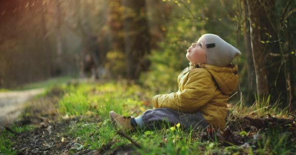 Chico en el exterior está jugando y se regocija con las hojas de otoño. Un niño de 2-3 años está sentado en un parque a la luz del sol. Niño lanzando colorido follaje de otoño en el aire en el parque . — Vídeos de Stock