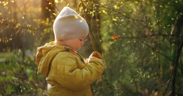 Gros plan voir la vidéo du jeune enfant blanc debout dans la belle forêt verte vieux regardant vers le haut d'énormes arbres au-dessus. Lumière du soleil et éblouissement. Explorer et explorer le monde qui vous entoure .