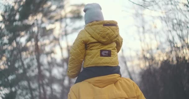 Movimento lento: Feliz família pai e filho conceito de paternidade menino. Belo pai com seu filho bebê ao ar livre no parque. Conceito de família feliz. Criança sentada em seu estilo de vida pai pescoço — Vídeo de Stock