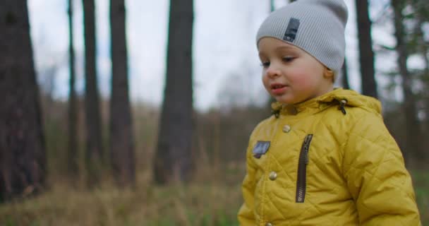 Ein aktiver Junge geht im Wald spazieren. Großaufnahme eines Jungen auf gelben Blättern im Herbstpark. Ein Junge geht durch das gelbe Laub im Wald. Zeitlupe — Stockvideo