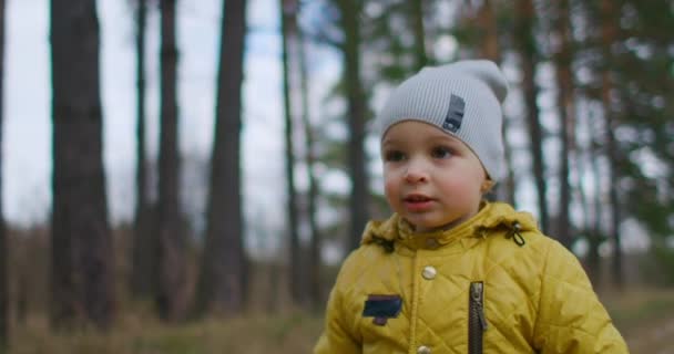 Un chico activo camina por el bosque. Acercamiento de un niño en hojas amarillas en otoño Parque. Un niño pasa por las hojas amarillas caídas en el bosque. Movimiento lento — Vídeo de stock