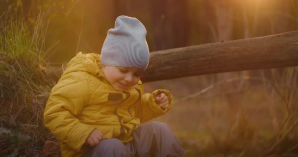 Un ragazzo di 2-3 anni si siede nella foresta al rallentatore al sole accanto a un tronco.Il ragazzo esplora la foresta e si sviluppa in un ambiente naturale libero. Buona infanzia. — Video Stock