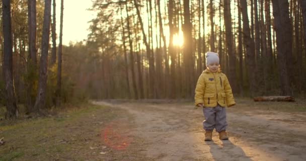 Ağır çekim. Sarı ceketli bir çocuk duruyor ve ormanın ve dünyanın güzelliğine bakıyor. İzle ve geleceği hayal et. Uzaklara bakan bir çocuk — Stok video