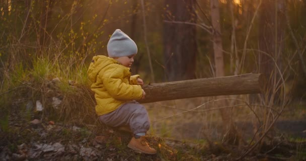 Movimento lento: Um menino pequeno sentado em um tronco com as costas para a câmera olha para a bela vista da floresta e sonha em imaginar-se no futuro. Privacidade e tranquilidade. Solidão — Vídeo de Stock