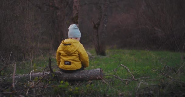 Slow motion: Een kleine jongen die met zijn rug naar de camera op een boomstam zit, kijkt naar het prachtige uitzicht op het bos en droomt ervan zich in de toekomst voor te stellen. Privacy en rust. Eenzaamheid — Stockvideo