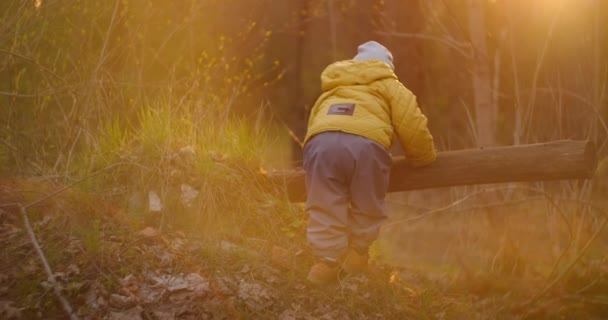 Ein Junge im Alter von 2-3 Jahren sitzt im Wald in Zeitlupe in der Sonne neben einem Baumstamm. Der Junge erkundet den Wald und entwickelt sich in einer freien natürlichen Umgebung. Glückliche Kindheit — Stockvideo