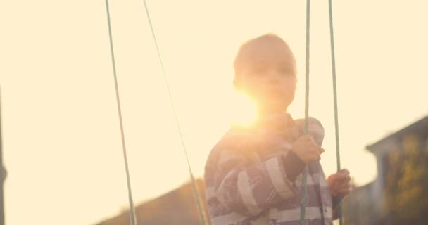 Bambino maschio dondola sul ramo dell'albero, bambino che cavalca sull'altalena, ritratto di bambino felice, riposo nel parco, bambino che si diverte a giocare all'aria aperta — Video Stock