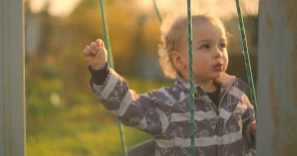 Мужские качели на ветке дерева, маленький мальчик на качелях, портрет счастливого ребенка, отдых в парке, ребенок веселится, играя на свежем воздухе — стоковое видео