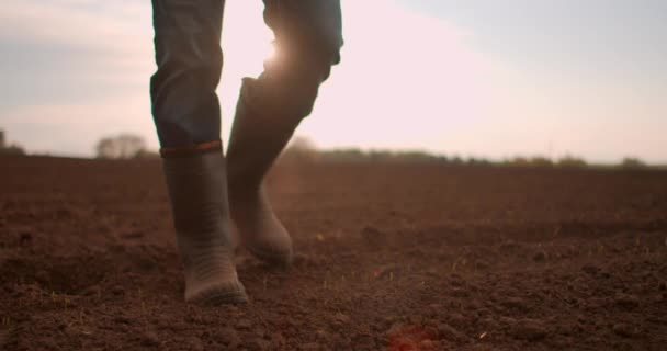 Volg naar mannelijke boeren voeten in laarzen lopen door de kleine groene spruiten van zonnebloem op het veld. Benen van een jongeman die op de droge grond op het weitje stapt. Low angle view Close up Slow motion. — Stockvideo