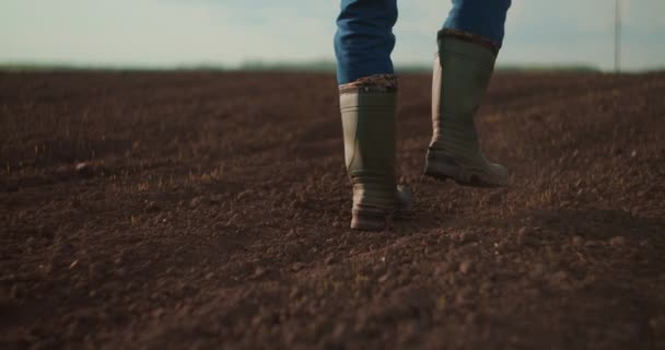 Volg naar mannelijke boeren voeten in laarzen lopen door de kleine groene spruiten van zonnebloem op het veld. Benen van een jongeman die op de droge grond op het weitje stapt. Low angle view Close up Slow motion. — Stockvideo