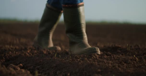 Um agricultor idoso em um boné está caminhando por um campo recém-plantado. Olha para a terra fresca. Em câmera lenta andando no chão em botas e olhando para a distância . — Vídeo de Stock