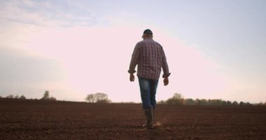 Erkek çiftçi gün batımında güneşin altında yeşil bir tarlada lastik botlarla dolaşır. Tarım ekimi. Yaşlı bir erkek çiftçi yeni ekilmiş bir tarlada yürüyor. Taze toprağa bak.