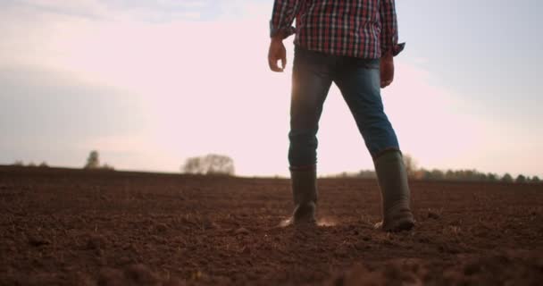 Низький кут огляду Повільний рух. Слідуйте за фермерами ніг у чоботях, що проходять через маленькі зелені паростки соняшнику на полі. Ноги молодого чоловіка, що ступають на суху землю на лузі — стокове відео