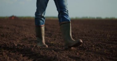 Düşük açı yavaş çekim. Tarladaki küçük yeşil ayçiçeği filizlerinde yürüyen erkek çiftçi ayaklarını takip edin. Genç adamın bacakları çayırdaki kuru toprağa basıyor.