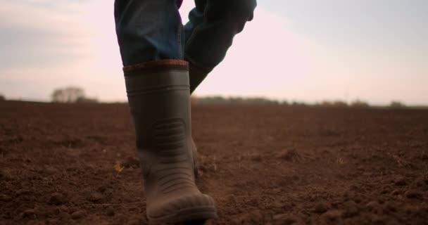 Vue en angle bas Mouvement lent. Suivez les pieds des fermiers mâles dans des bottes marchant à travers les petits pousses vertes de tournesol sur le terrain. Jambes de jeune homme marchant sur le sol sec à la prairie — Video