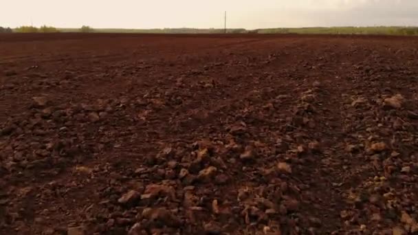 Aerial view farm with plow preparing land for sowing. Harrows prepares the agricultural land for planting crop in sunset light. Agriculture industry, cultivation of land — Stock Video