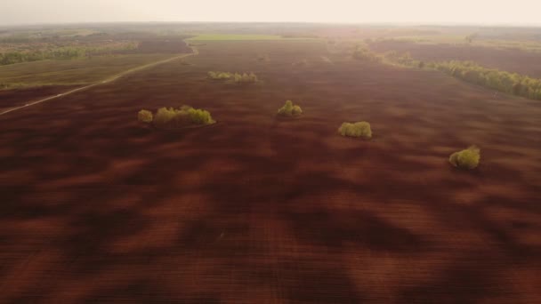 Bauernhof aus der Luft mit Pflug, der Land für die Aussaat vorbereitet. Eggen bereiten das landwirtschaftliche Land für die Anpflanzung im Sonnenuntergang vor. Landwirtschaft, Landbewirtschaftung — Stockvideo