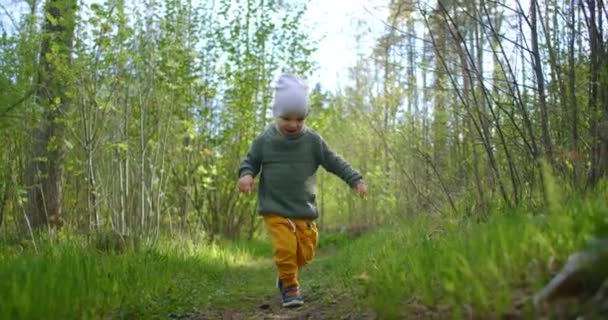 En 2-årig vit pojke går i slow motion längs skogsstigar i en tallskog. Går i parken. Äventyr av en ung Explorer, utforska världen. Kameran följer pojken.. — Stockvideo