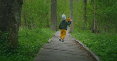 Bir çocuk parkta ağır çekimde ahşap bir yolda koşuyor. Ormandaki bir çocuğun macerası. 2-3 yaşlarında bir çocuk ormanda tahta bir köprüyü geçiyor..