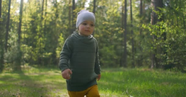 Un garçon caucasien de 2 ans marche au ralenti le long des sentiers forestiers dans une forêt de pins. Promenades dans le parc. Aventures d'un jeune explorateur, explorez le monde. La caméra suit le garçon .