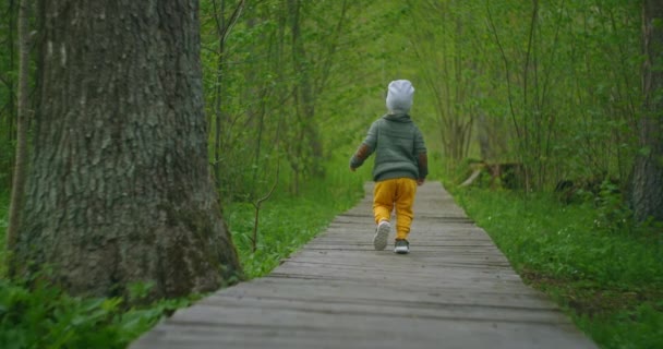 Um menino corre em um parque em um caminho de madeira em câmera lenta. Aventura de um rapaz na floresta. Um menino de 2-3 anos corre sobre uma ponte de madeira na floresta . — Vídeo de Stock