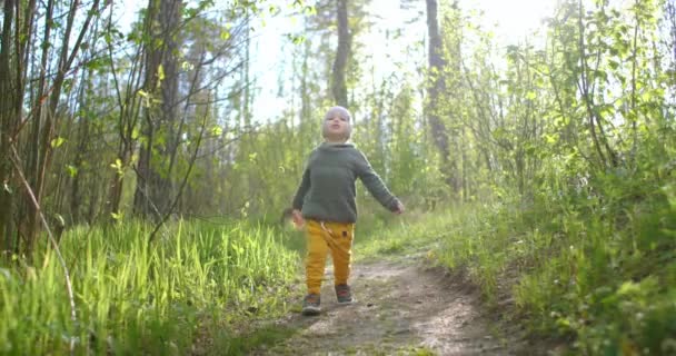 Un garçon caucasien de 2 ans marche au ralenti le long des sentiers forestiers dans une forêt de pins. Promenades dans le parc. Aventures d'un jeune explorateur, explorez le monde. La caméra suit le garçon . — Video