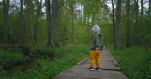 Um menino corre em um parque em um caminho de madeira em câmera lenta. Aventura de um rapaz na floresta. Um menino de 2-3 anos corre sobre uma ponte de madeira na floresta . — Vídeo de Stock