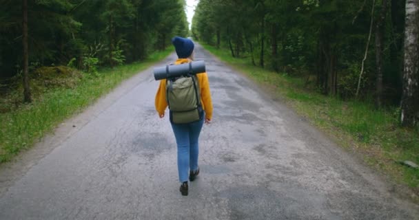 Zeitlupe: Junge Frau wandert im Herbst im Wald Aktive, gesunde Kaukasierin mit einem Rucksack, der Holz aufnimmt. Reisenden mit Spaziergängen entlang Wald Rückansicht, Freizeit, Bio-Tourismus, Wandern — Stockvideo