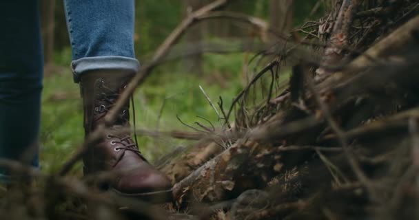 Yakın plan, kadın ayakkabı bağcıklarını sonbahar yapraklarına bağlıyor. Eski iş botunu çıkaran kadın. Ormanda yürüyen aktif bir kadın ayakkabısını bağlamak için durur ve yürümeye devam eder. Yakın çekim görüntüleri — Stok video