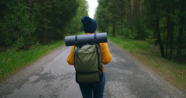 Powolny ruch: Jesienią w lesie wędruje młoda kobieta. Aktywna, zdrowa, biała kobieta z plecakiem, biorąca drewno. Kobieta podróżująca z spacerów wzdłuż lasu widok z tyłu, czas wolny, bio-turystyka, Turystyka piesza — Wideo stockowe