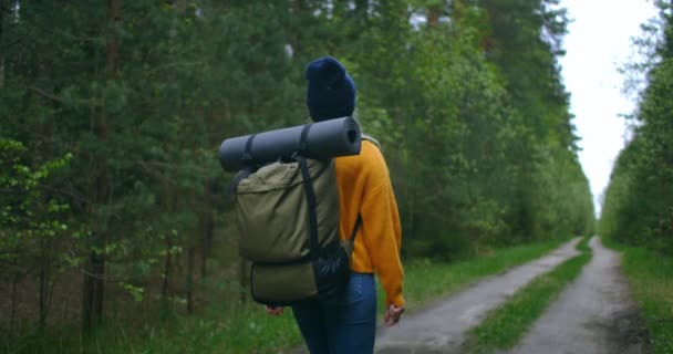 Slow motion: Young Woman Caminhando na Floresta no Outono. Mulher caucasiana saudável ativa com uma mochila tomando em madeira. Viajante feminino com passeios ao longo da floresta vista traseira, lazer, bio-turismo, Caminhadas — Vídeo de Stock