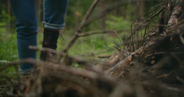 Egy nő, aki az erdőbe utazik, beköti a cipőfűzőjét. Túracipő az erdőben — Stock videók