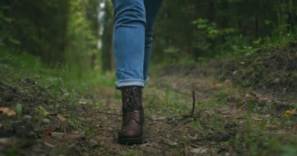 遅い動きで女性の足の急な地形をハイキングの閉じるまで。ハイキングブーツの足秋の道を歩く。屋外で秋の日に足を踏み入れ森林地帯を歩き — ストック動画