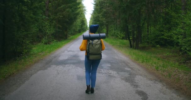バックパックは、秋の森の自然景観旅行天気ツリーで歩くと女性のバックアップを閉じる屋外の森のスローモーション. — ストック動画