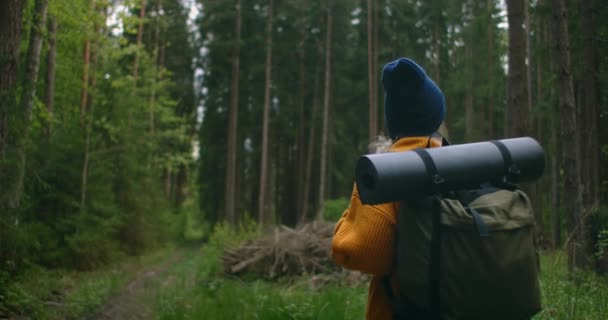 Zamknij się z tyłu kobiety z plecakiem spacery w jesiennym lesie natura krajobraz podróże pogoda drzewo odkryty las zwolniony ruch. — Wideo stockowe